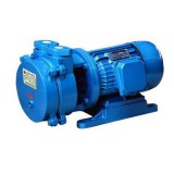 SK水環式真空泵