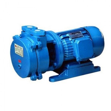 SK水環式真空泵